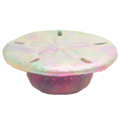 かいがらのテーブルのhttps://img.game8.jp/5864865/ccaa3925fe5775c4c49b516f408a7387.png/showの画像