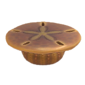 かいがらのテーブルのhttps://img.game8.jp/5864872/10cf4e5bb614b79ad259fa9e7bbd2225.png/showの画像