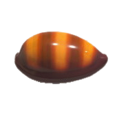 かいがらのスツールのhttps://img.game8.jp/5864883/5146ed7055b8f2e733a0eaef6a37debd.png/showの画像