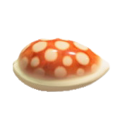 かいがらのスツールのhttps://img.game8.jp/5864888/03198565ad9ddcb9116df252c7e2278f.png/showの画像