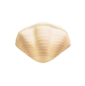 かいがらのランプのhttps://img.game8.jp/5864889/3deefe57d8547c71f9f0daaebb71e0cb.png/showの画像