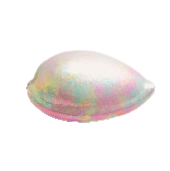 かいがらのスツールのhttps://img.game8.jp/5864893/b68f54d4def434a7e4308ba214814789.png/showの画像