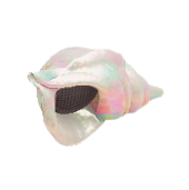 かいがらのスピーカーのhttps://img.game8.jp/5864895/09dec5e05257ab58c7666c7ce4b90663.png/showの画像