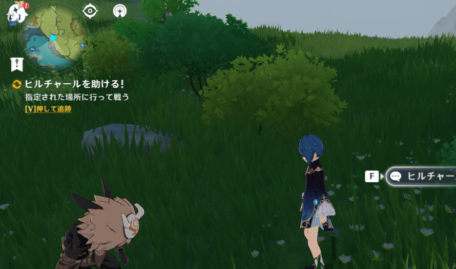 ヒルチャールの依頼