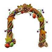 きのみのアーチのブラウンナッツの画像