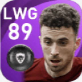 FPディオゴ・ジョタ(5/31)の画像