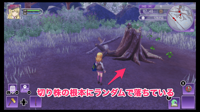 オレンジツリーの種の入手場所1