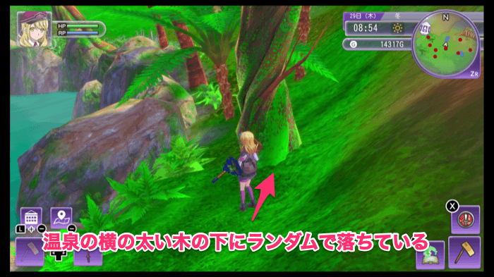 オレンジツリーの種の入手場所2