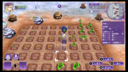 盾の種を育てて収穫する