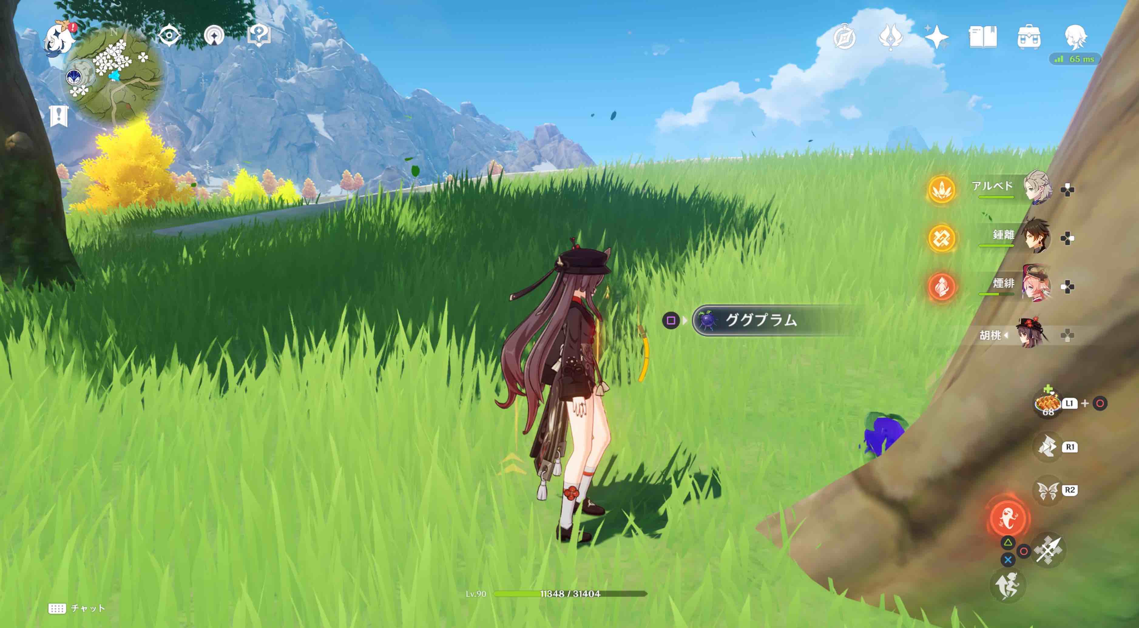 詳細な入手場所⑬