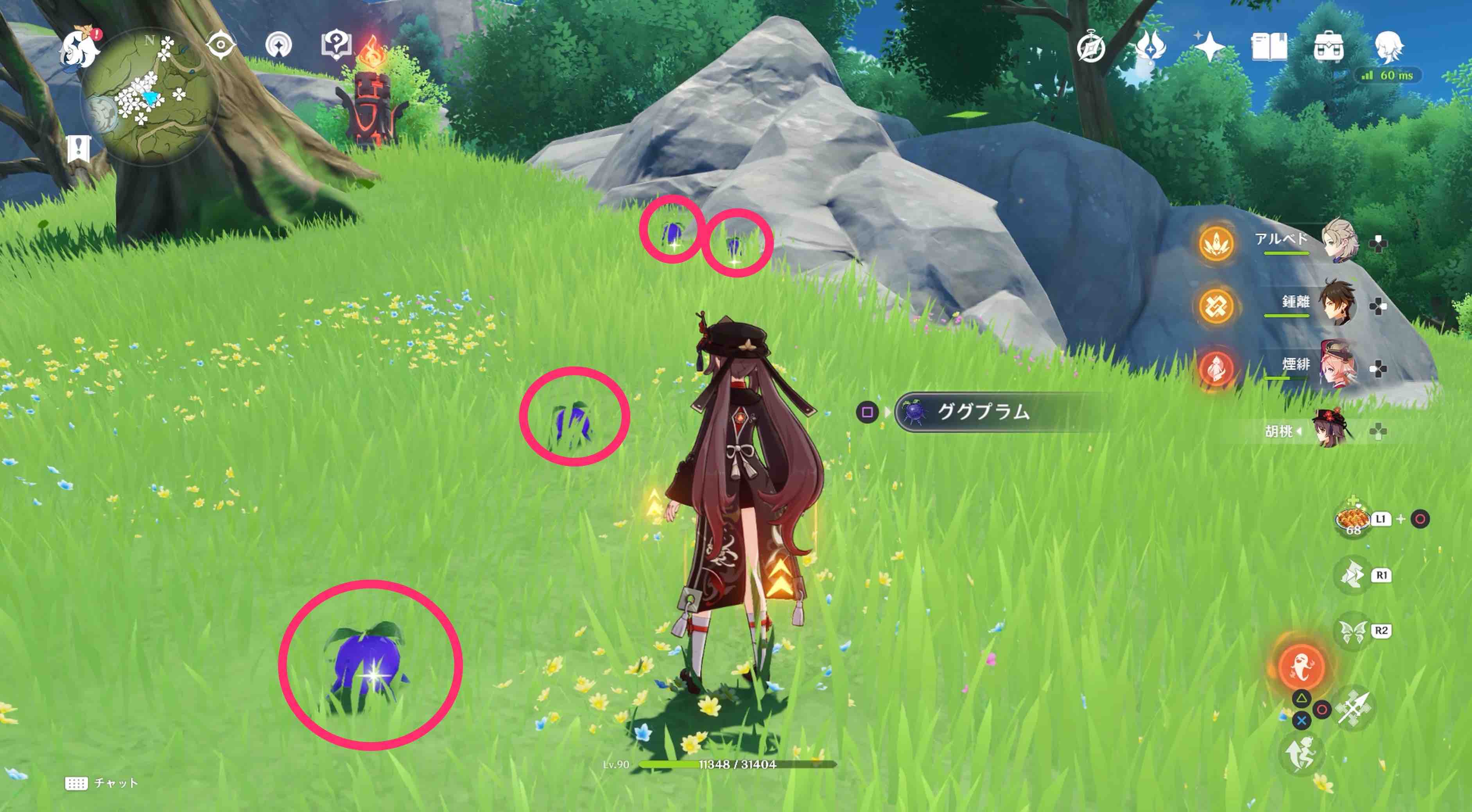 詳細な入手場所⑥