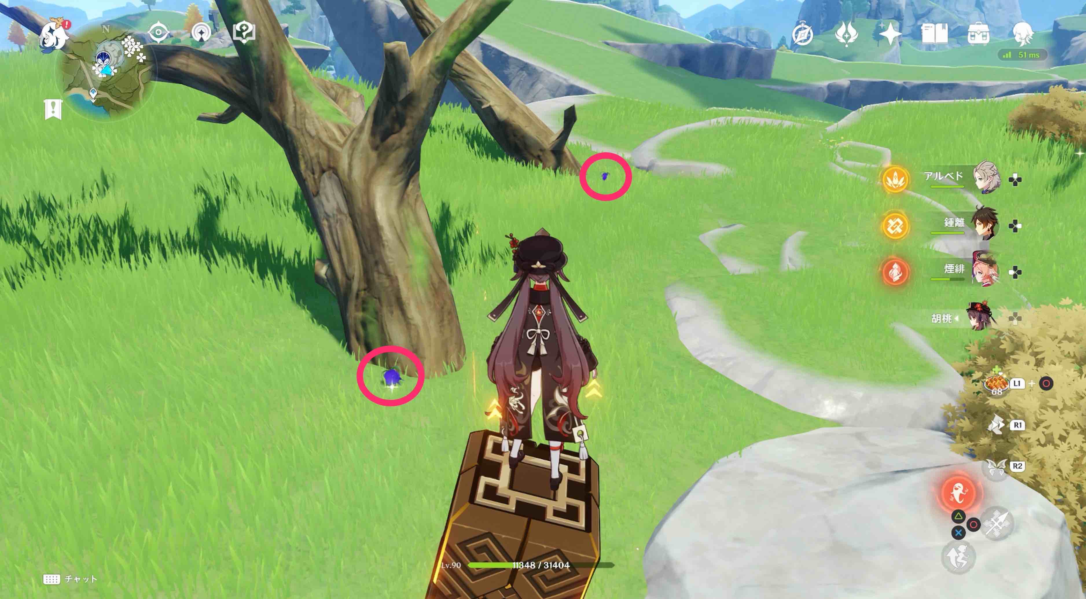 詳細な入手場所⑮