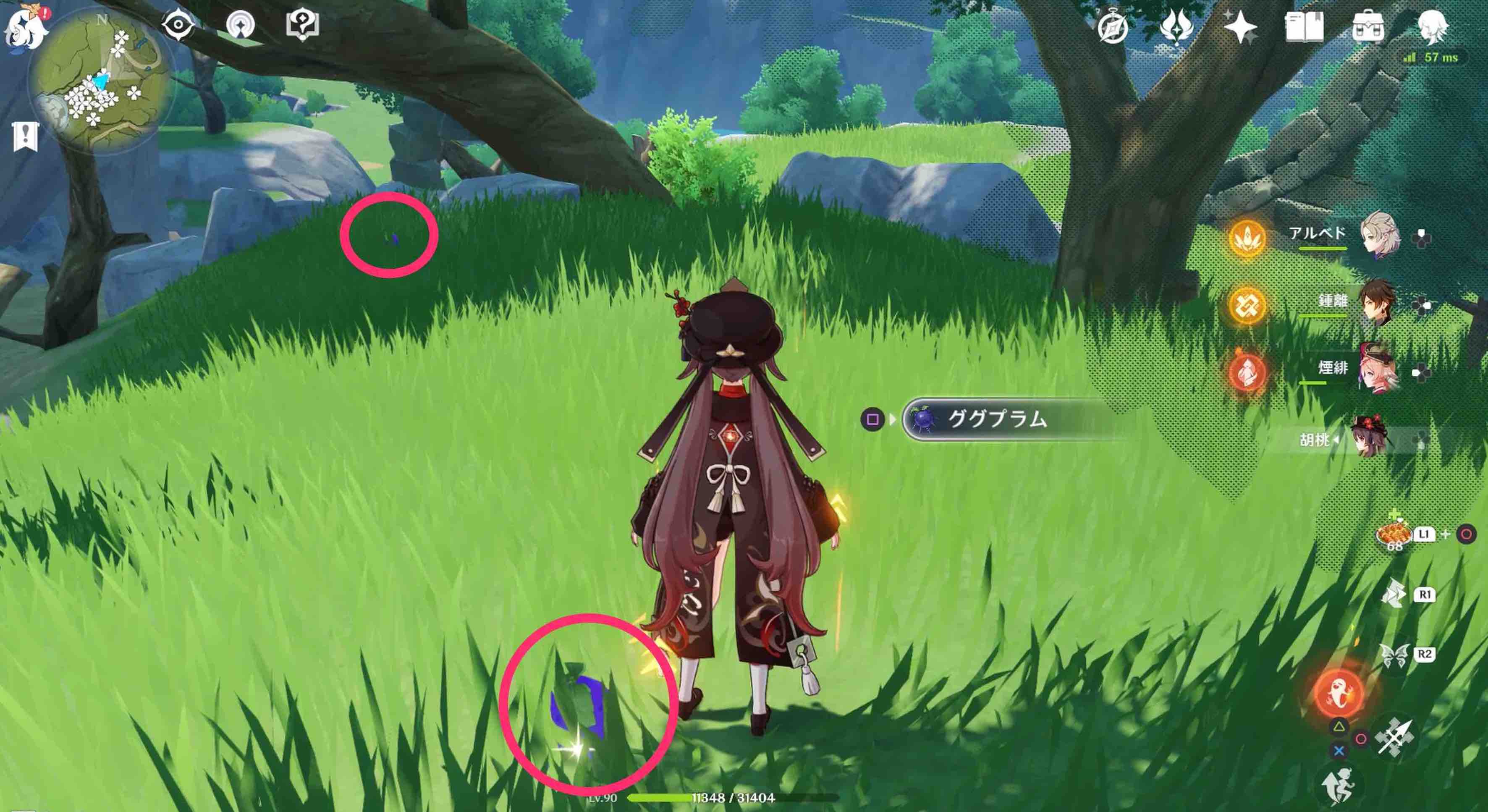 詳細な入手場所⑦