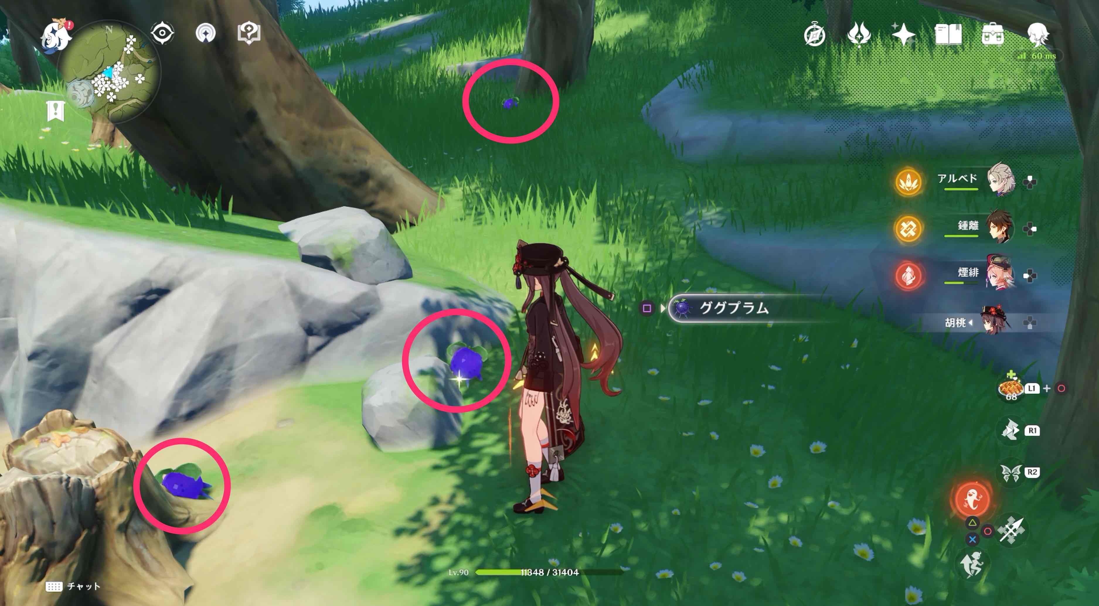 詳細な入手場所⑧