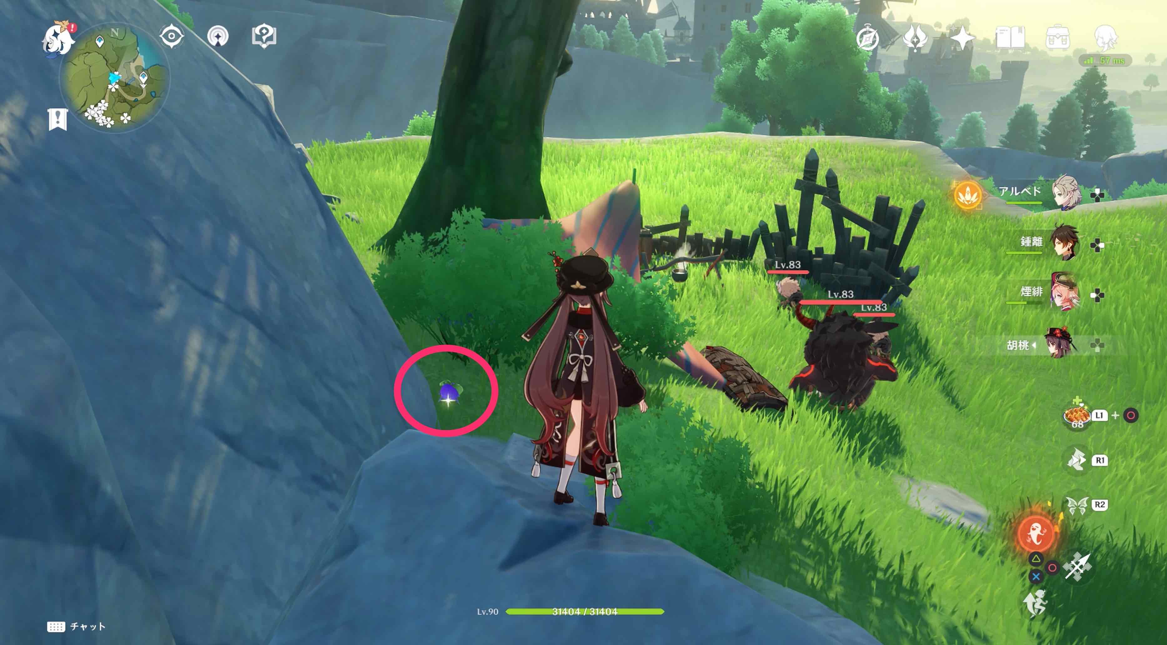 詳細な入手場所①