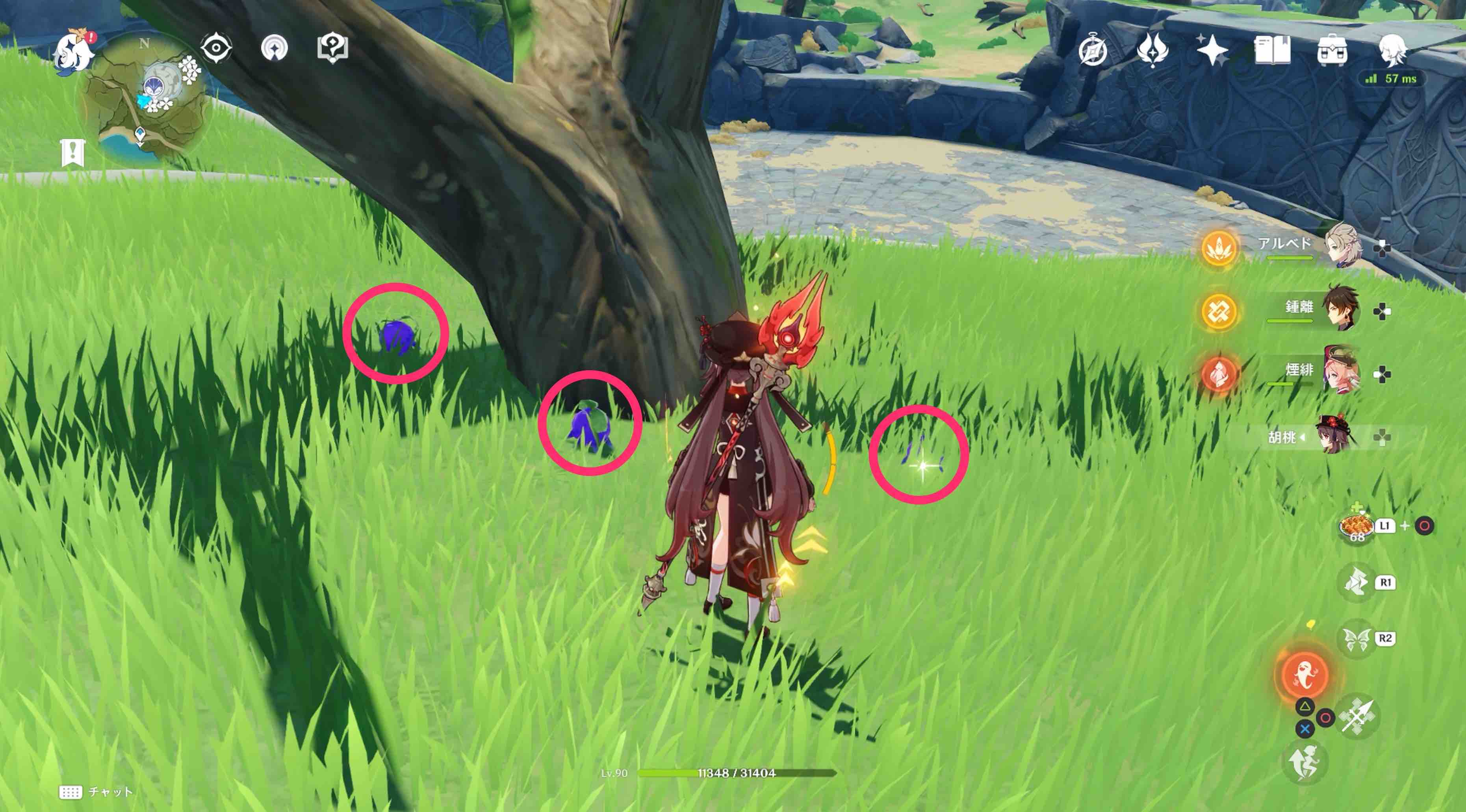 詳細な入手場所⑯