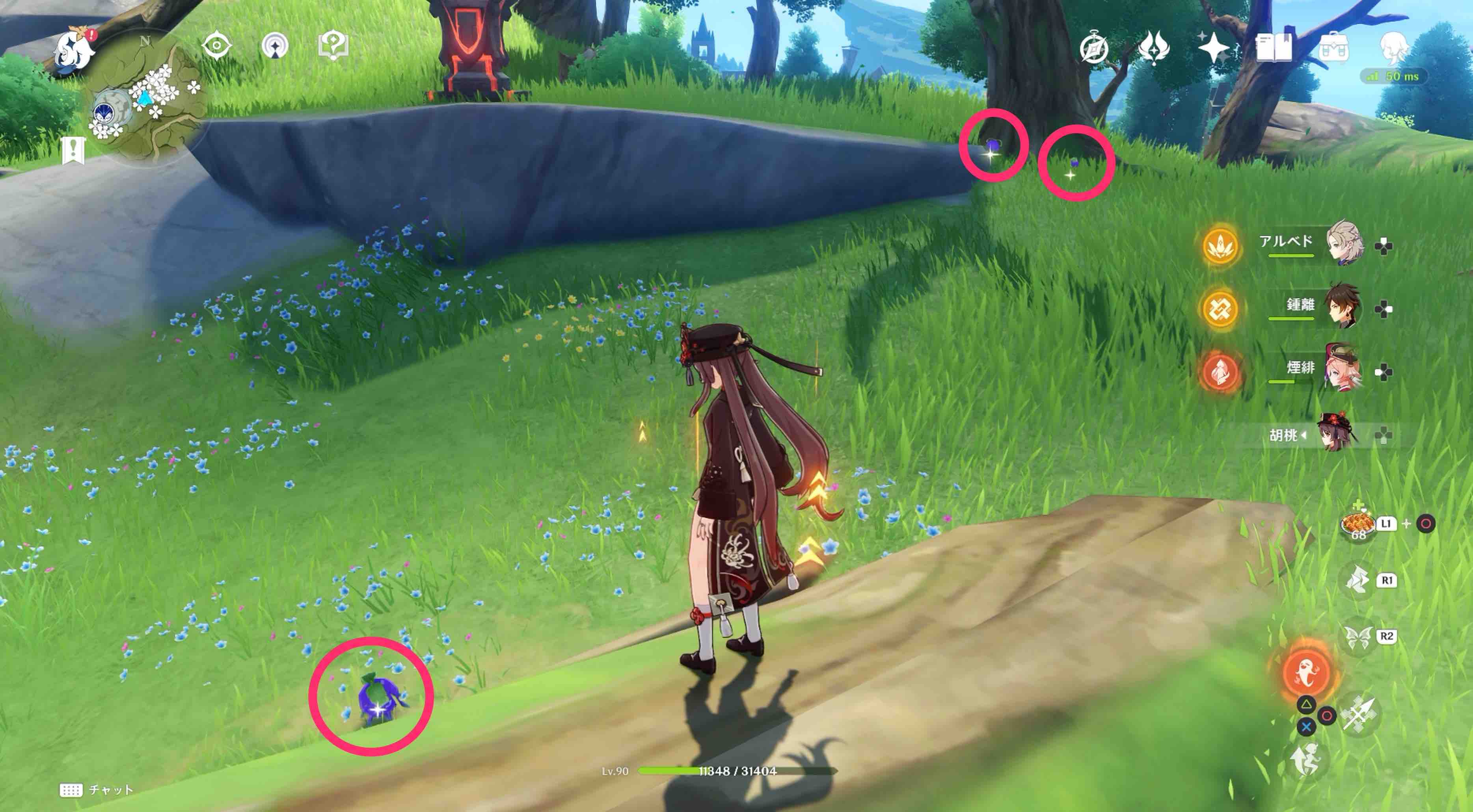 詳細な入手場所⑪