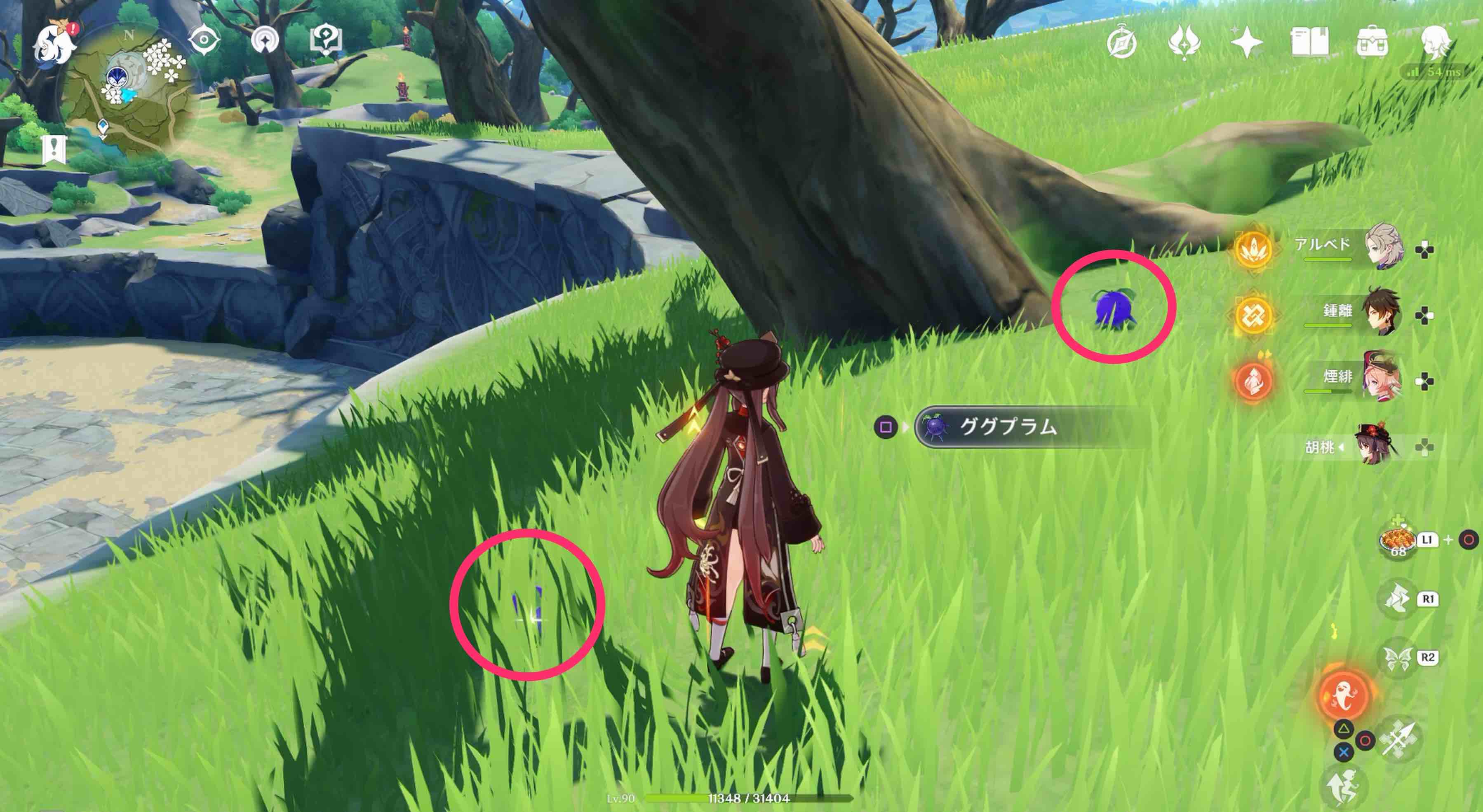 詳細な入手場所⑭