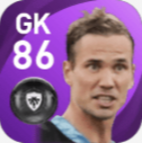 FPアントン・シュニン(6/7)の画像