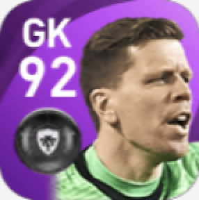 FPヴォイツェフ・シュチェスニ(6/7)の画像