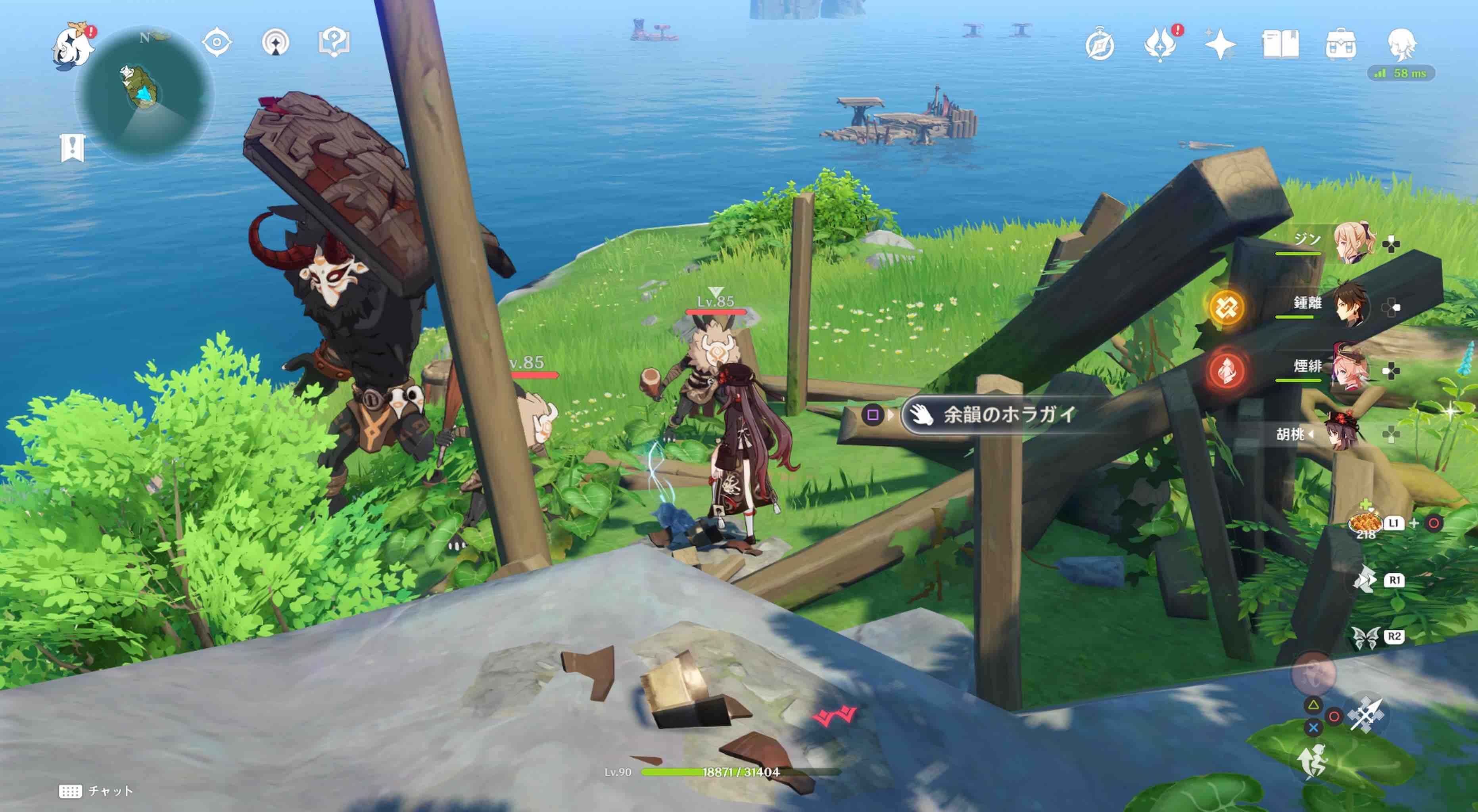 フタフタ島のホラガイ