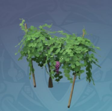 芽生えたブドウ藤の画像