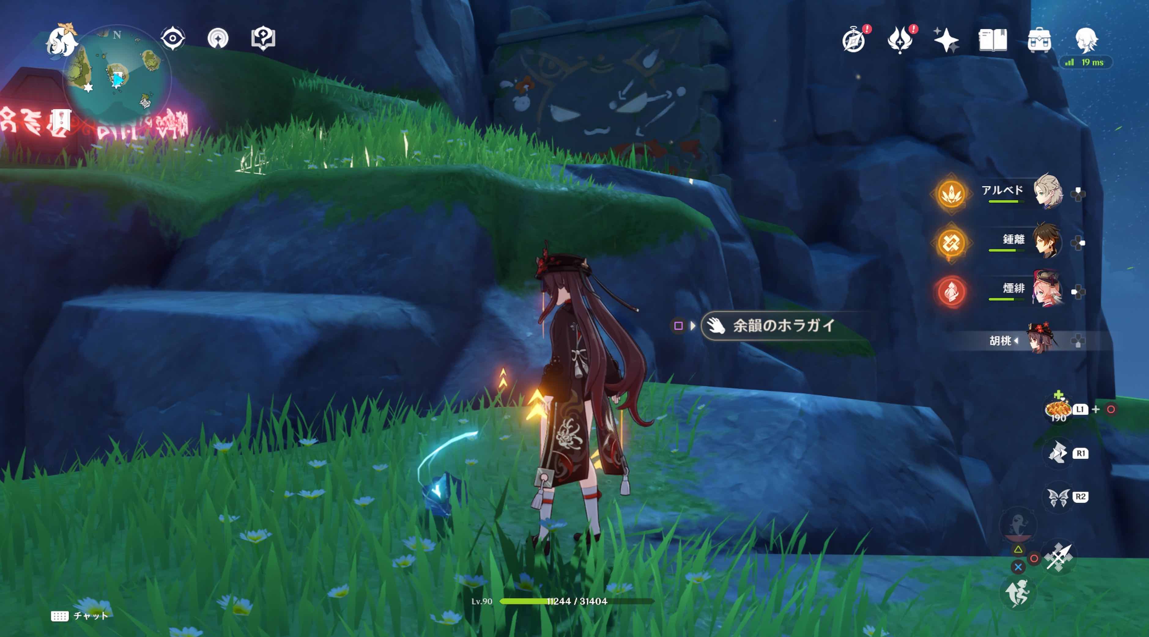 フタフタ島のホラガイ