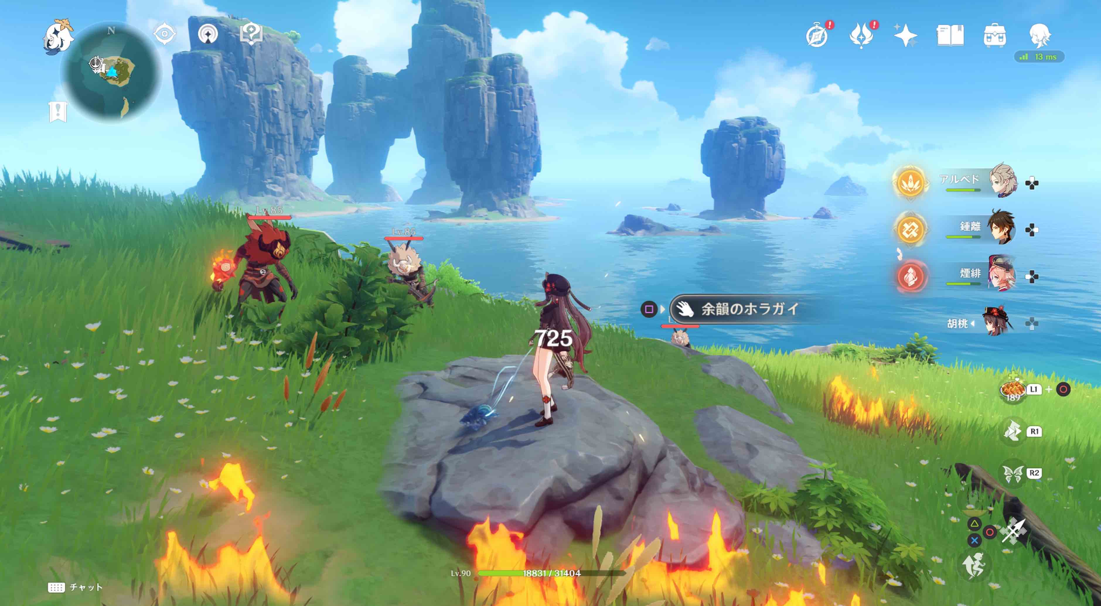 フタフタ島のホラガイ