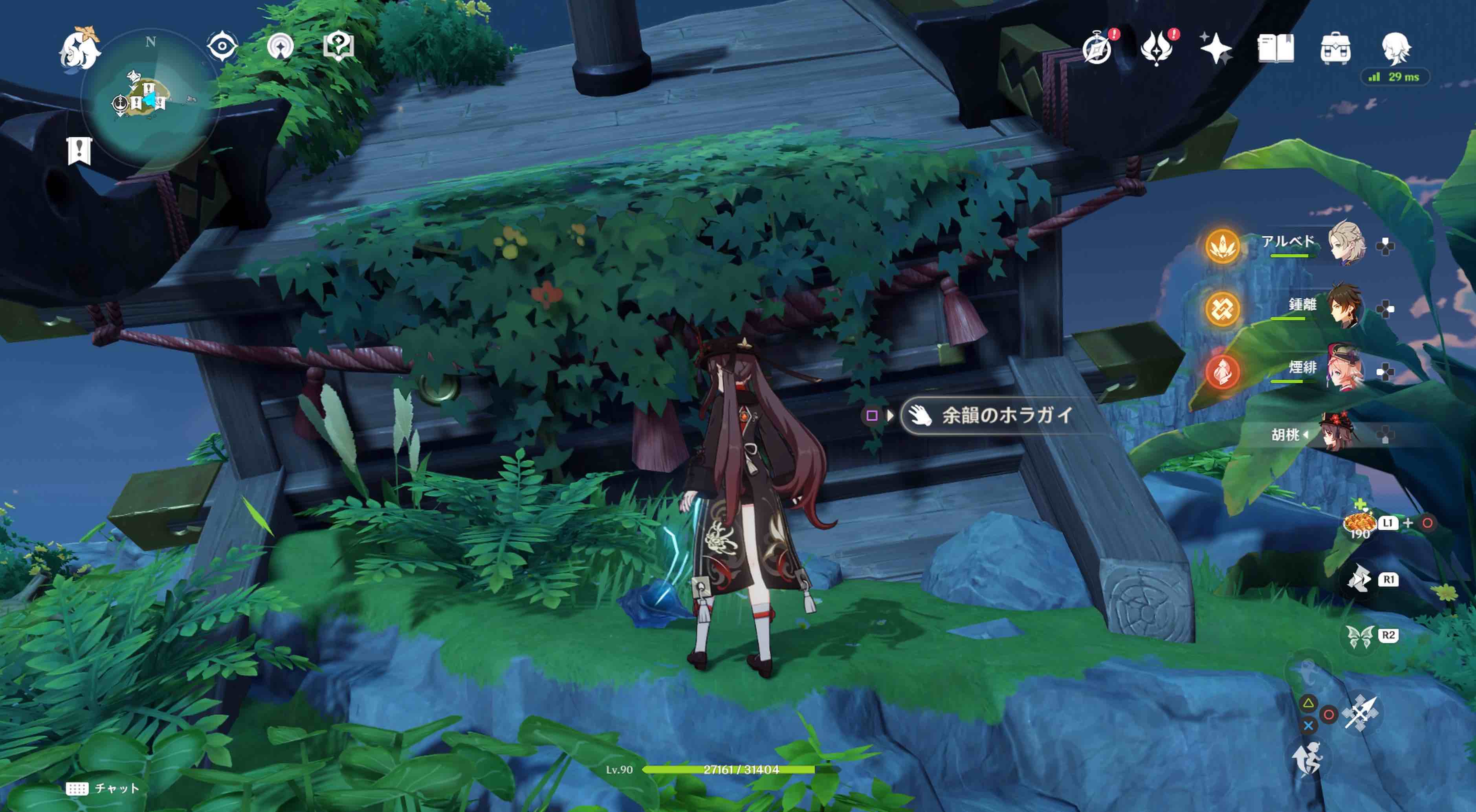 フタフタ島のホラガイ