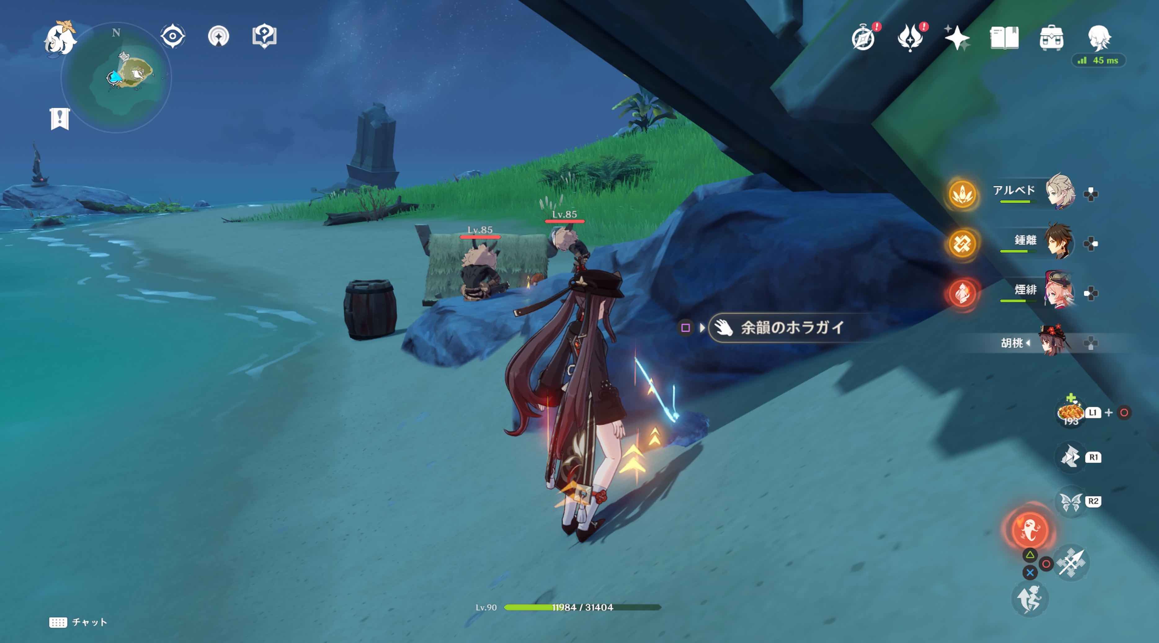 フタフタ島のホラガイ