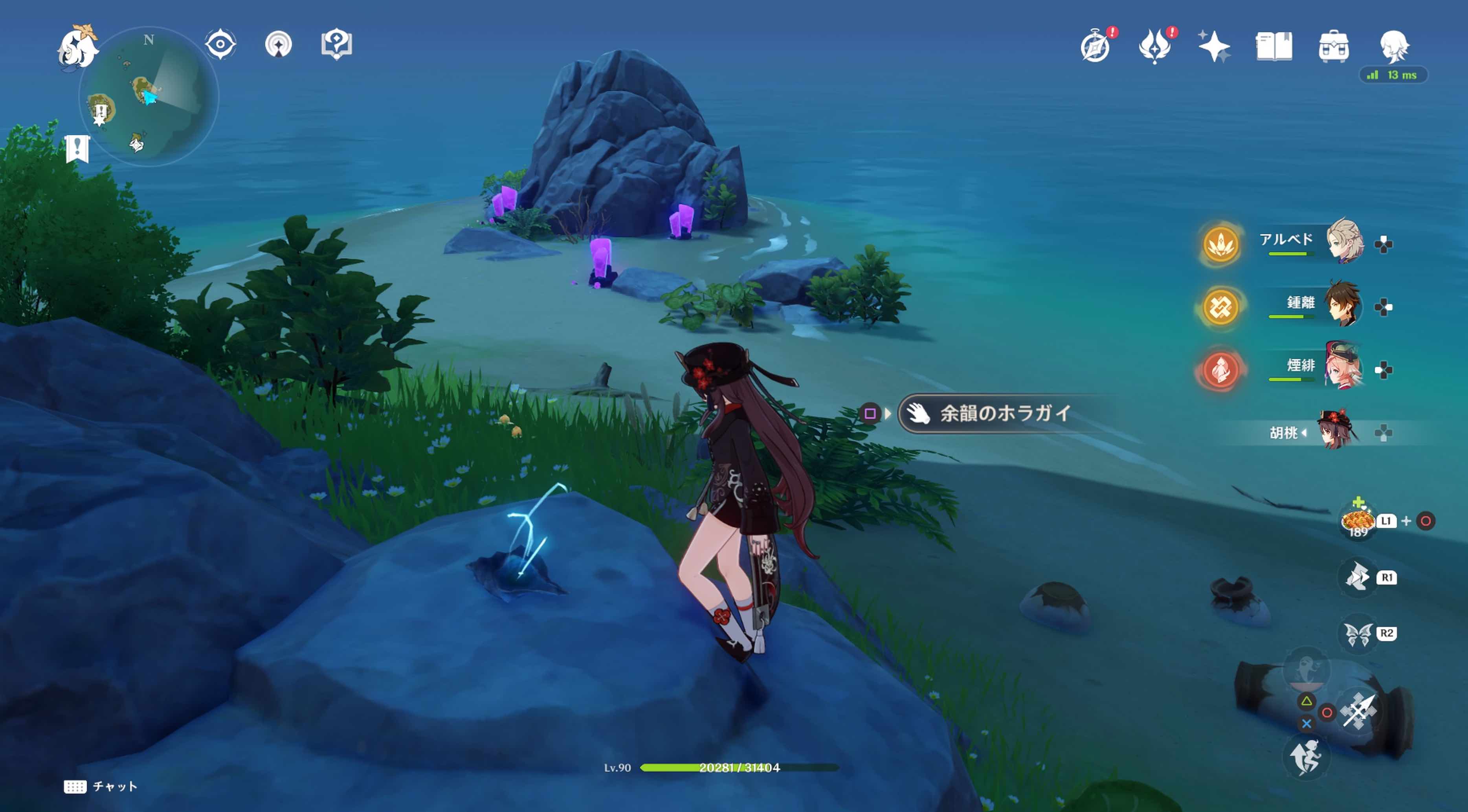 フタフタ島のホラガイ