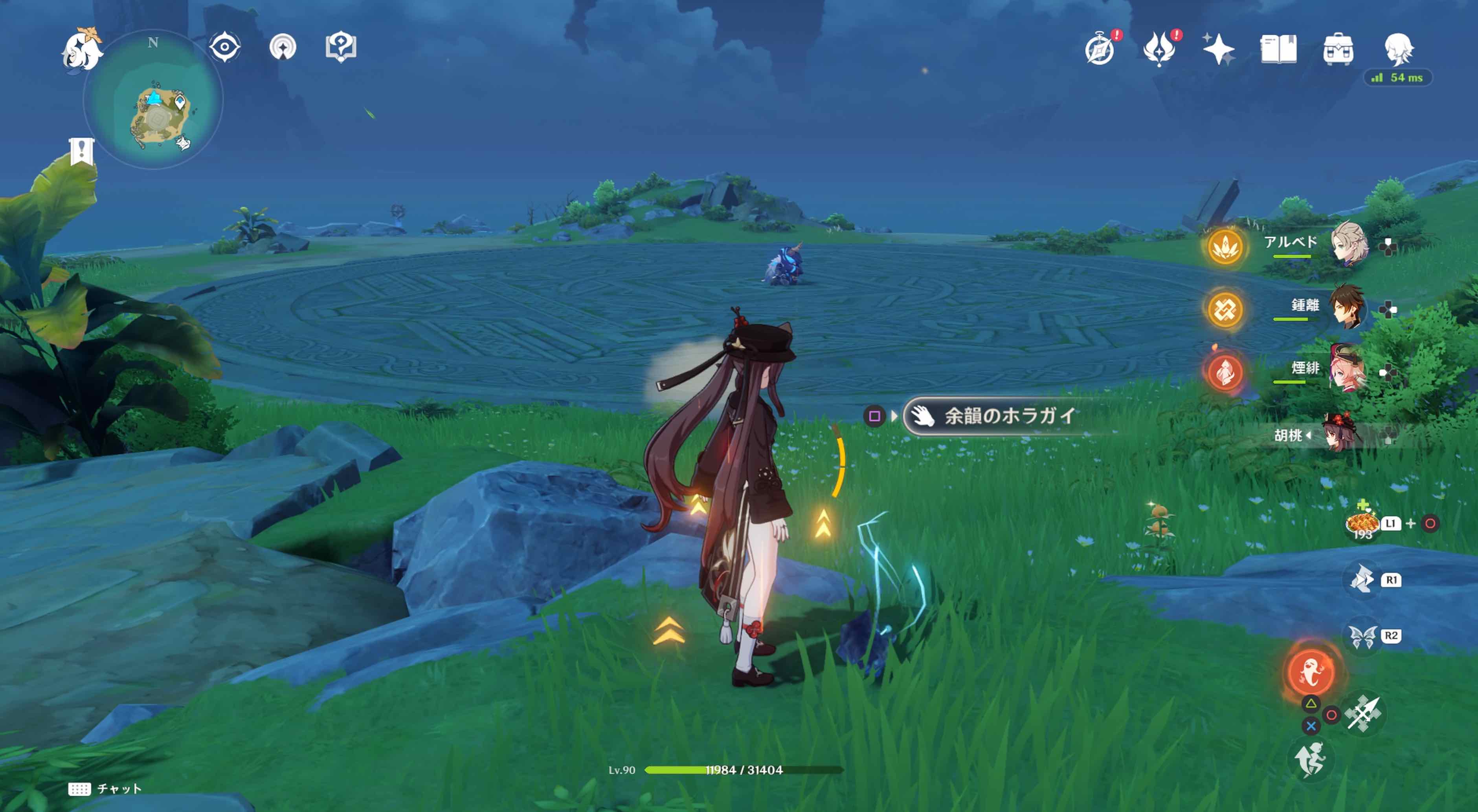 フタフタ島のホラガイ