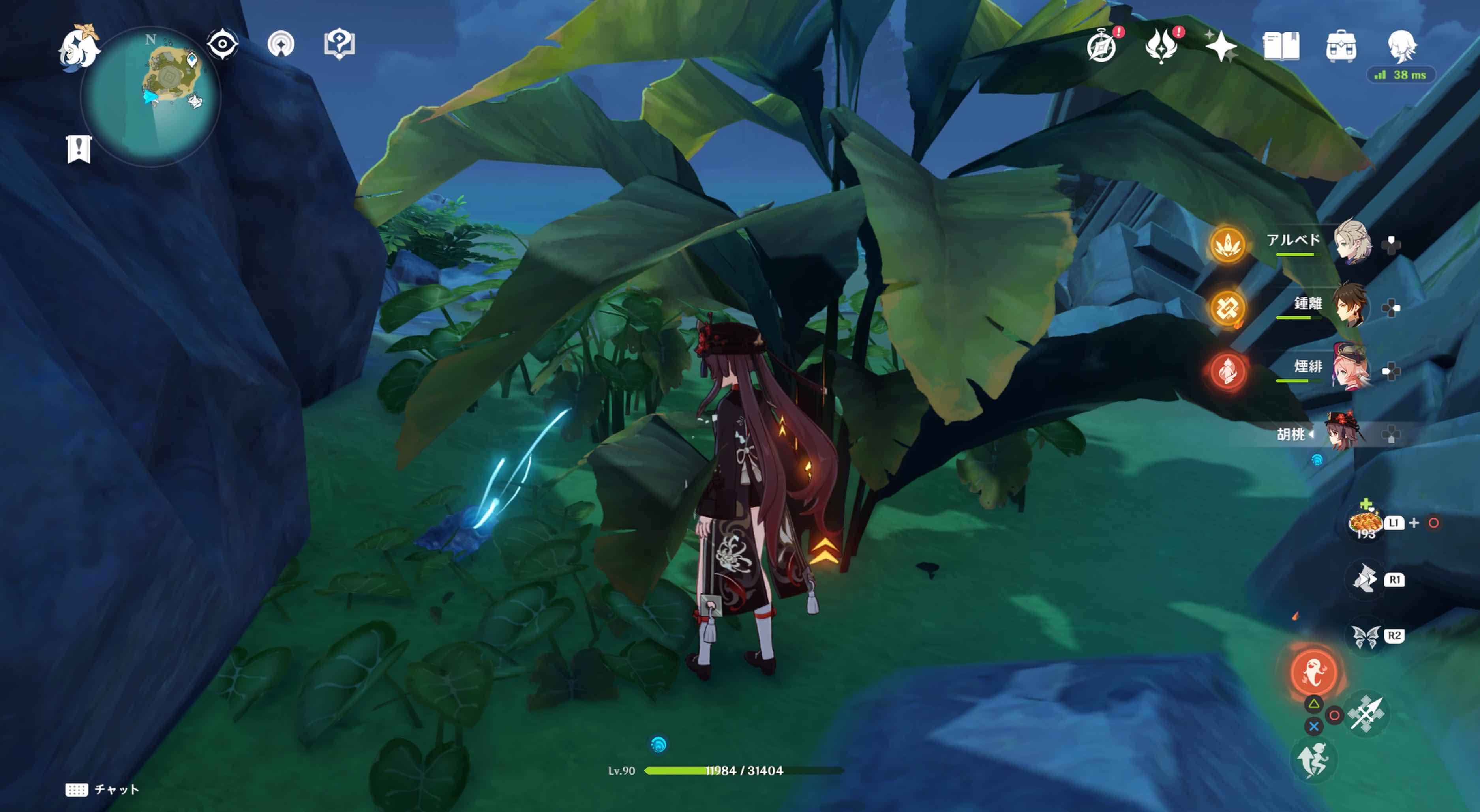 フタフタ島のホラガイ