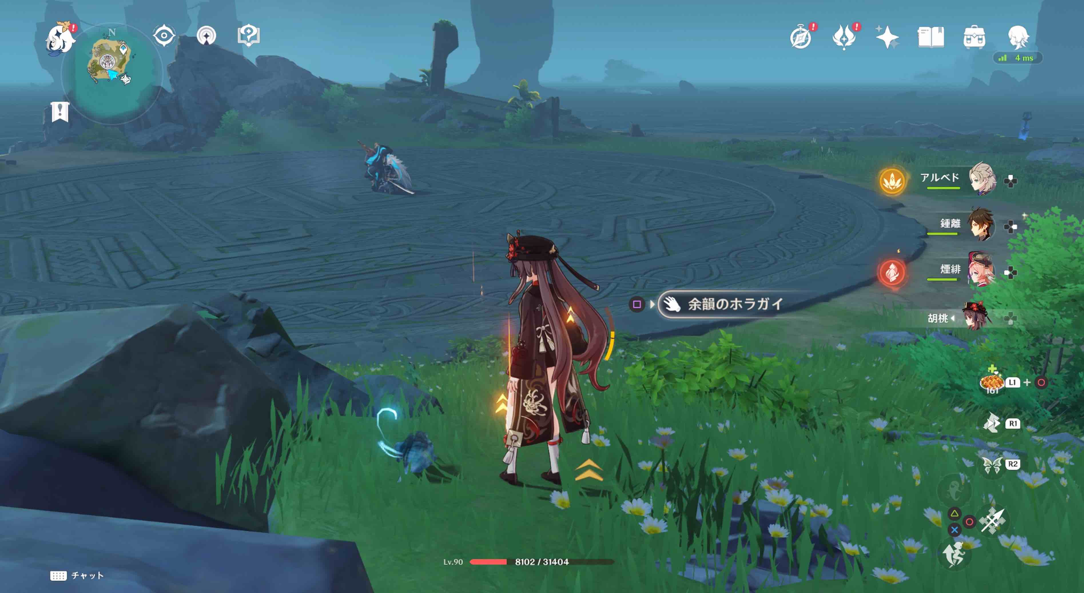 フタフタ島のホラガイ