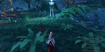 レゾルの森の画像