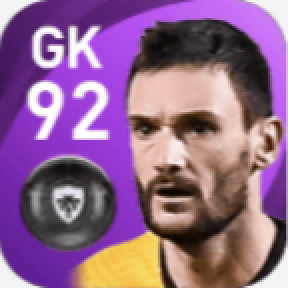 FPウーゴ・ロリス(6/14)の画像