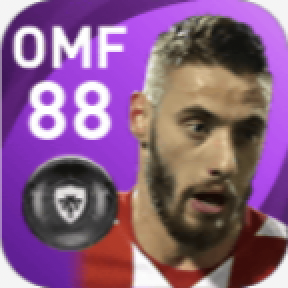 FPニコラ・ヴラシッチ(6/14)の画像