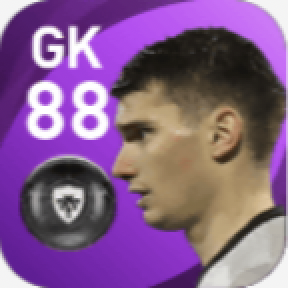 FPドミニク・リヴァコヴィッチ(6/14)の画像