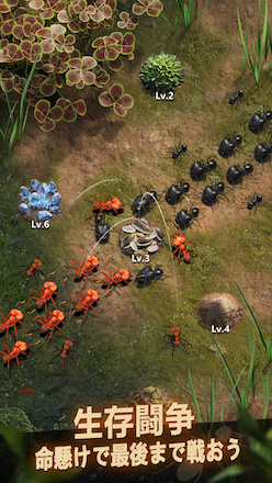 ザ・アンツ 生存闘争.png