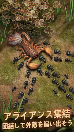 ザ・アンツ アライアンス.png