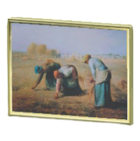 よくみるめいが画像