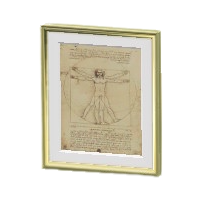 アカデミックなめいが画像