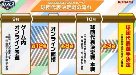 12球団対抗プロリーグ日程