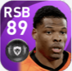 FPデンゼル・デュンフリース(6/21)の画像