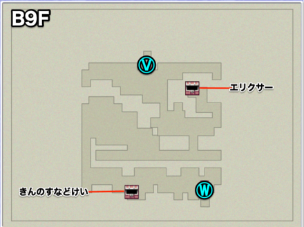 月の地下渓谷B9Fのマップ画像