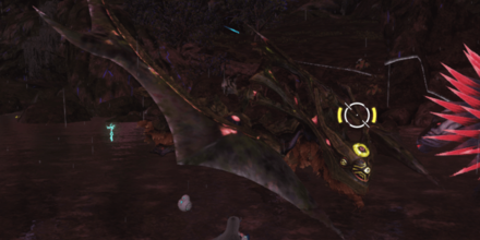 ①老練のエルディサイズの画像