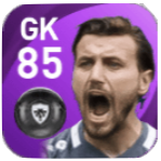 FPストレ・ディミトリエフスキ(6/24)の画像