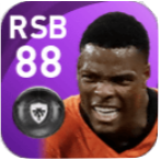 FPデンゼル・デュンフリース(6/24)の画像