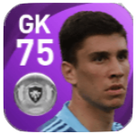 FPネデリコ・ストイッチ(6/24)の画像