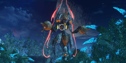 老練のチアキュリオ